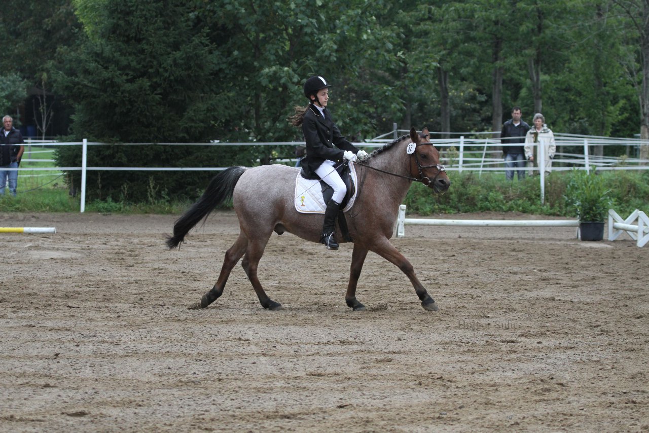 Bild 266 - WBO-Turnier am 18.9.11
